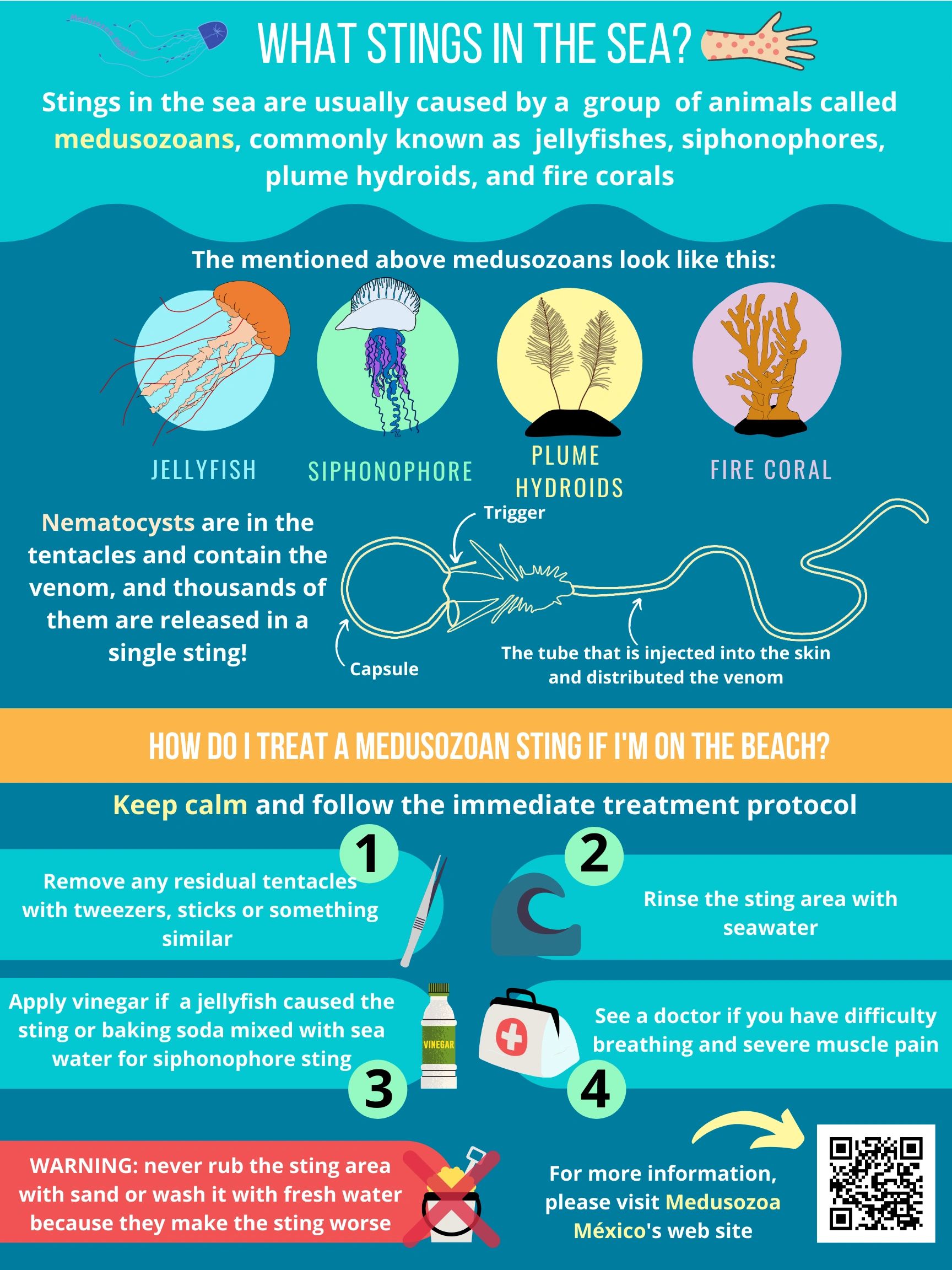 What stings in the sea?